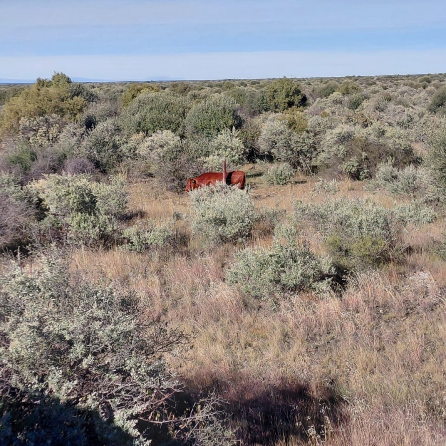 Commercial Property for Sale in Barkly West Rural Northern Cape